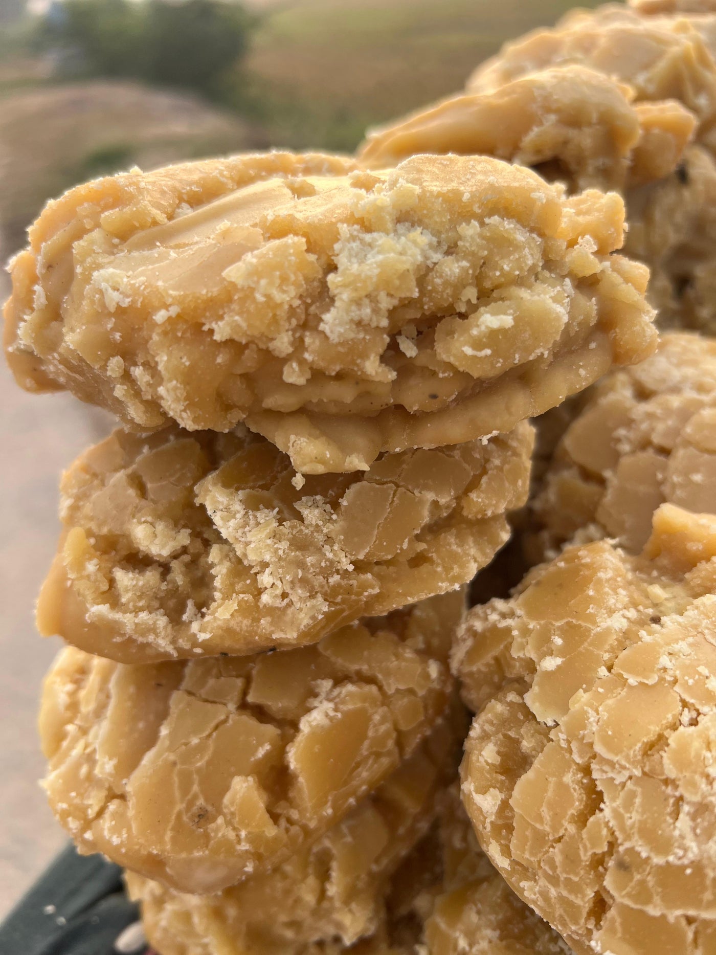 Pure Jaggery (گُڑ بغیر میوہ جات کے)